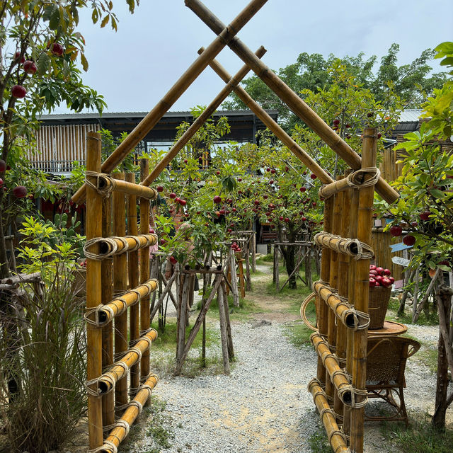 Snap-Worthy Scenery: Exploring the Beauty of Paina Nara!