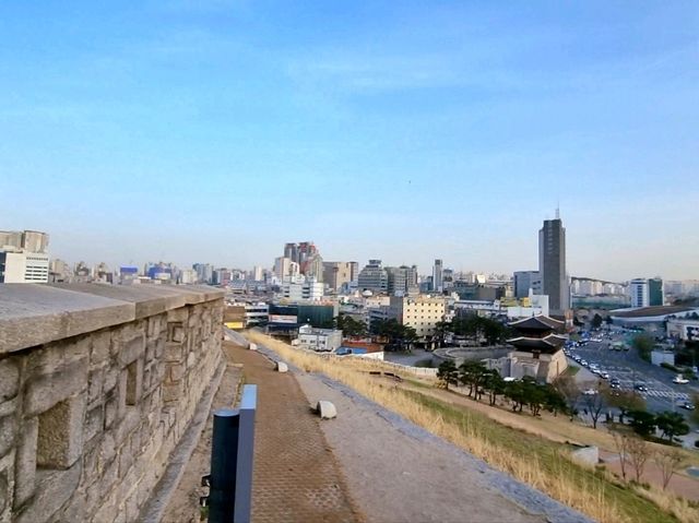 지금 가야할 걷기 좋은 청계천&흥인지문공원🏞