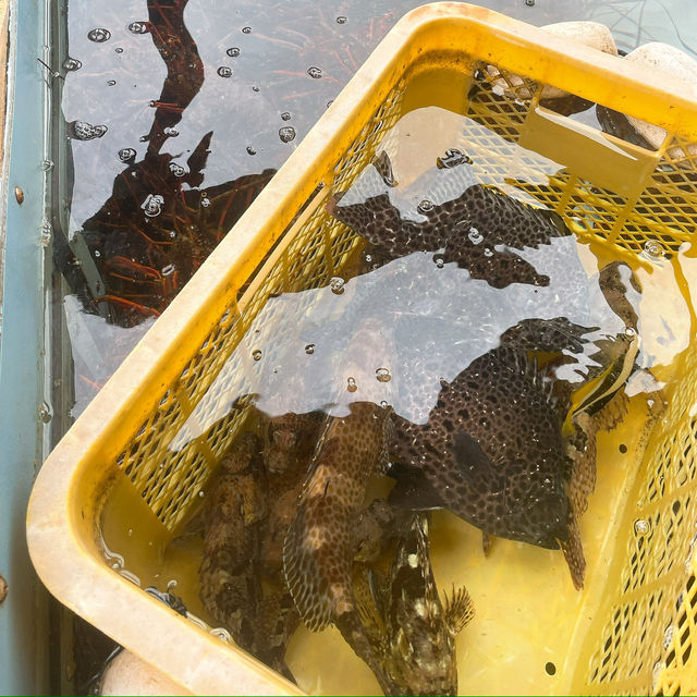 【佐伯】貝類、お刺身🐟が安い！新鮮！✨