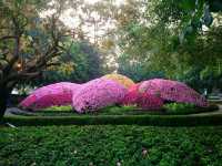 ฟังดนตรีในสวน..เชียงรายดอกไม้งาม