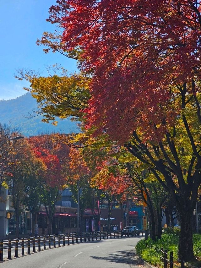 가을에는 단풍 명소로 유명한 대구 야외데이트 추천지 👫