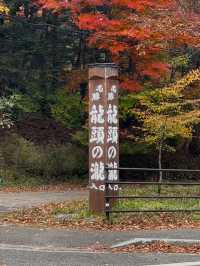 【日光】奥日光三名瀑の一つとされる竜頭の滝