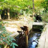 Autumn Magic: A Colorful Escape at Okayama Korakuen Garden!