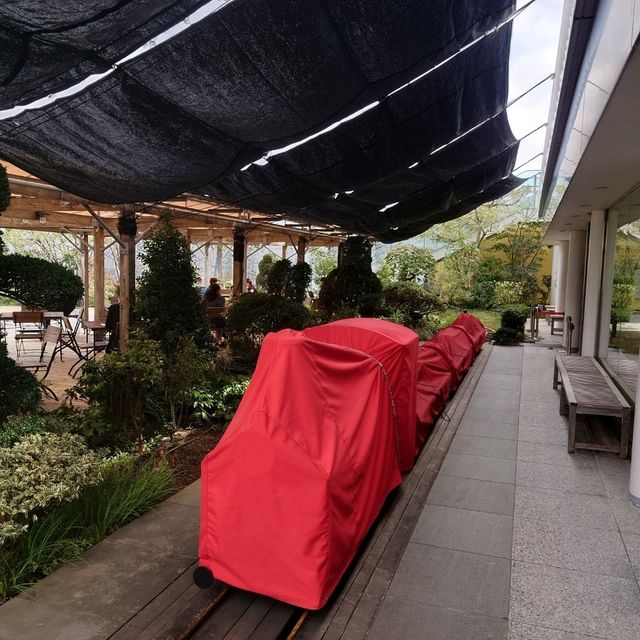 JR博多駅ビルの屋上展望台「つばめの杜ひろば」