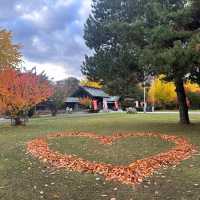 札幌🇯🇵中島公園的日與夜🍁