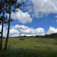 อุทยานแห่งชาติเขาใหญ่ (Khao Yai National Park)🌳