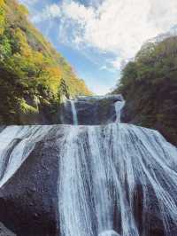 日本🇯🇵袋田瀑布🏞️ 被譽為「日本三名瀑」之一