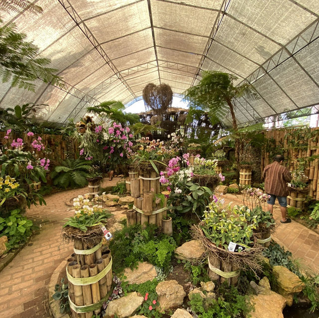 ดอยตุง สวนแม่ฟ้าหลวง พระตำหนักดอยตุง @เชียงราย