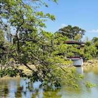 Nature’s Beauty and Timeless Charm: My Day at Taman Tasik Taiping!