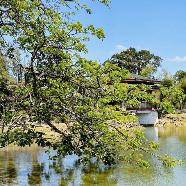 Nature’s Beauty and Timeless Charm: My Day at Taman Tasik Taiping!