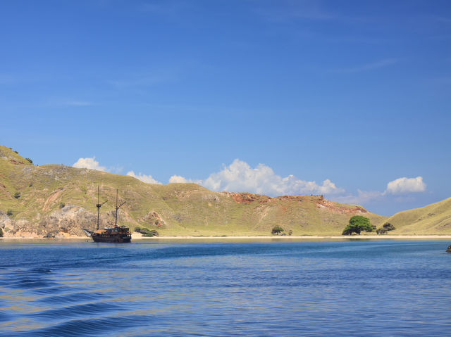 Komodo island - actual home of dragons 