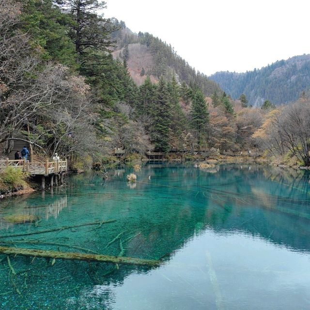 走入秋冬的九寨溝一樣美不盛收，秋葉，森林，湖景，雪景。