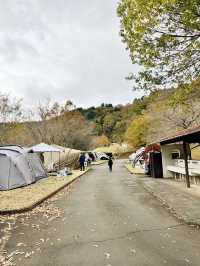 【静岡県/伊豆　紅葉🍁を眺めながら楽しめるキャンプ施設】