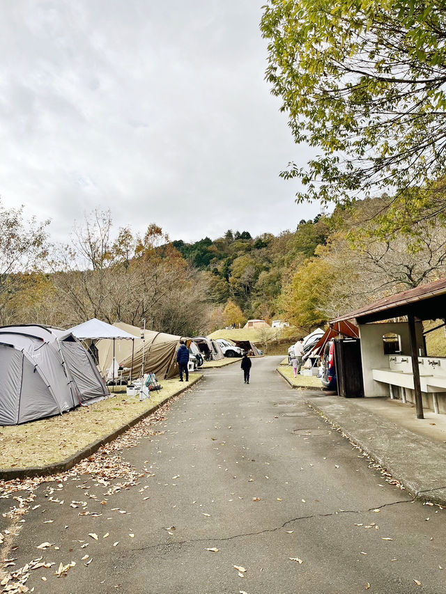 【静岡県/伊豆　紅葉🍁を眺めながら楽しめるキャンプ施設】