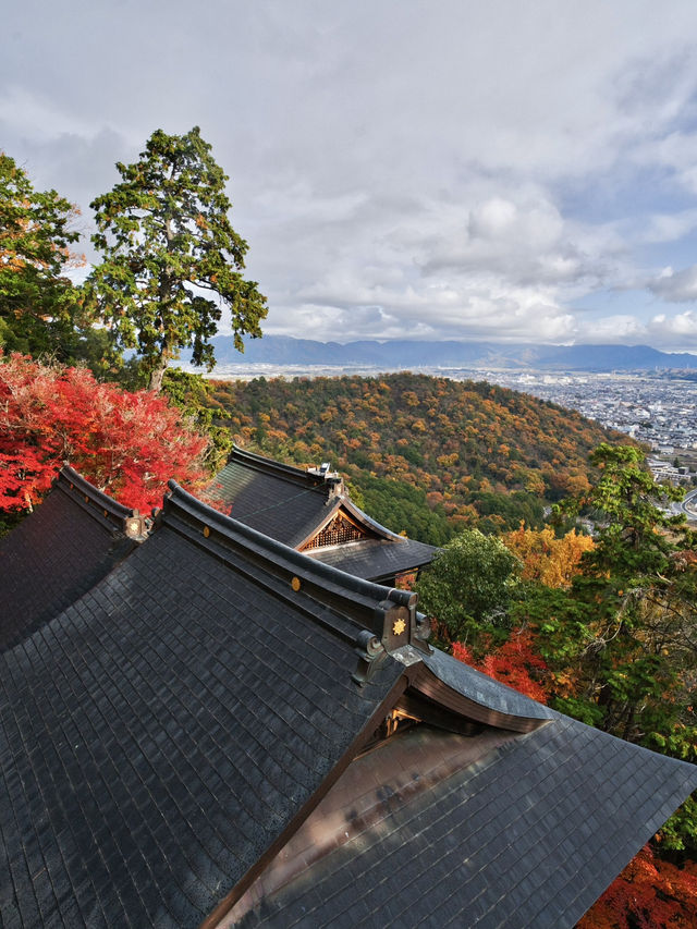 【ここ行って】お守り作り体験も⁉️パワーみなぎる天空の紅葉絶景スポット🍁