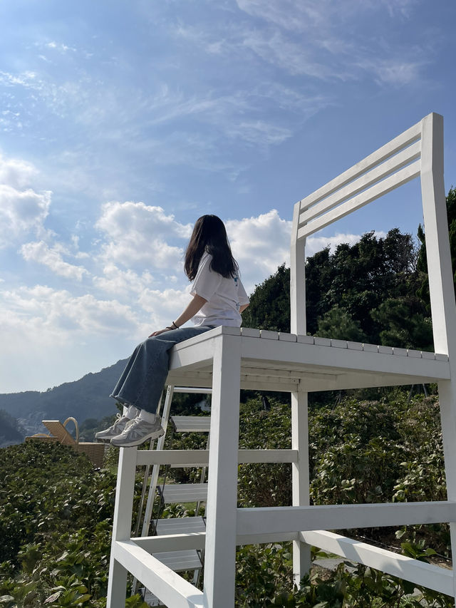 거제에 있는 거인국 방문기☕️ 카페 바람의언덕