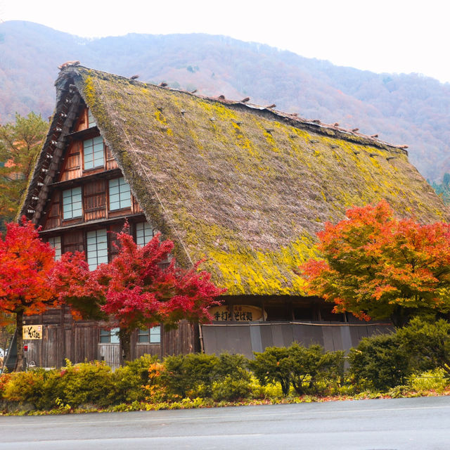 Shirakawa-go