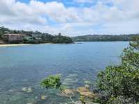 Balmoral Beach: A Family-Friendly Coastal Gem