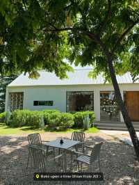 Bake Upon A Time 🌿 คาเฟ่บรรยากาศดี แสงสวย ☀️