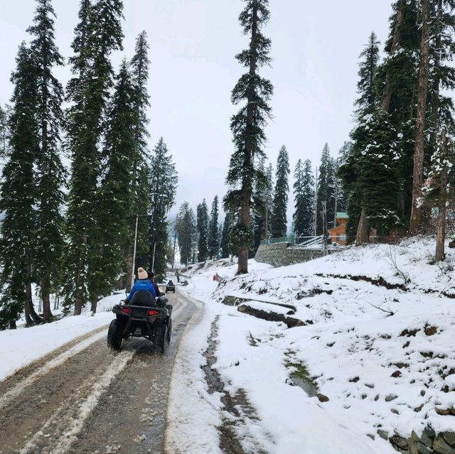 กุลมาร์ค (Gulmarg) @แคชเมียร์