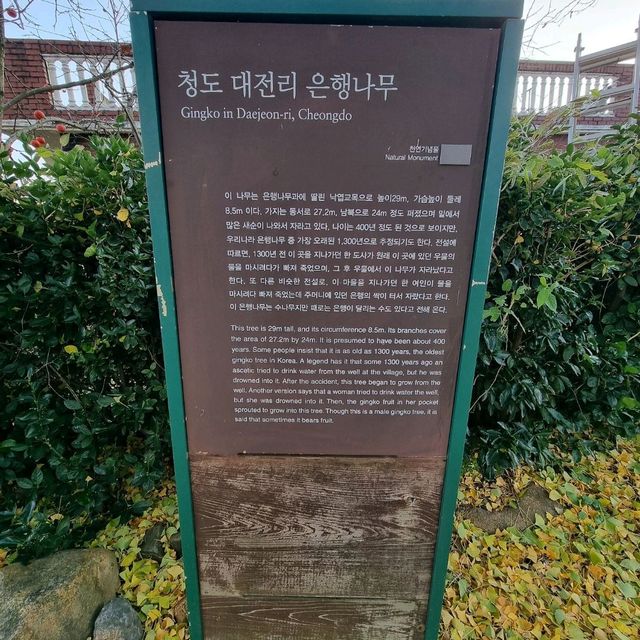 다음해를 기약하며