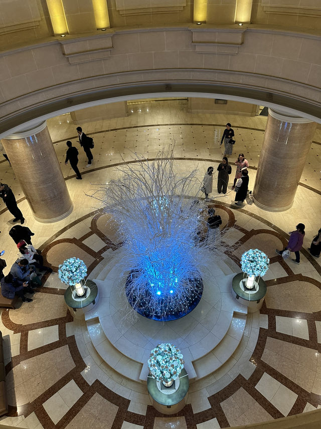 여유롭고 한적한 오다이바에서 느끼는 🎄크리스마스 감성 🎁일루미네이션 명소