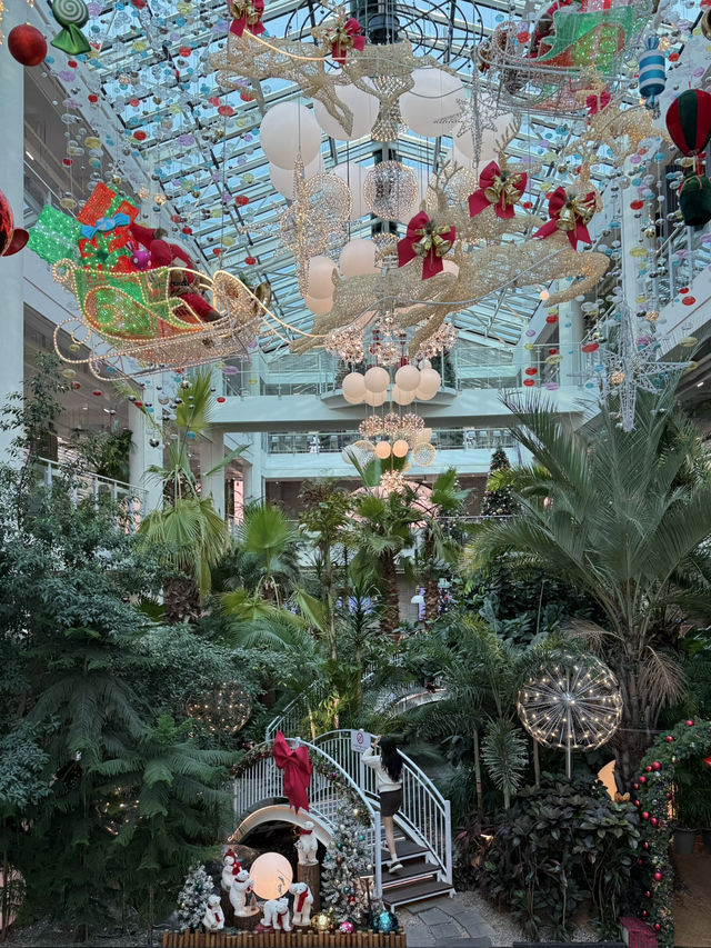 인천 대형 베이커리 카페 포레스트아웃팅스 송도 🎄