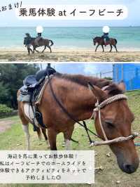 【久米島】おすすめSPOT7選！