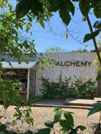 Alchemy Bali: Where Plant-Based Magic Meets Culinary Delight