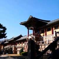 韓國大邱_Bulguksa 불국사 佛國寺_韓國國寶502號