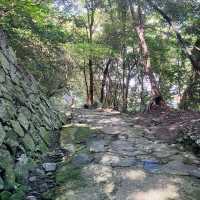 【四国】現存天守のひとつ宇和島城に行ってきた🏯
