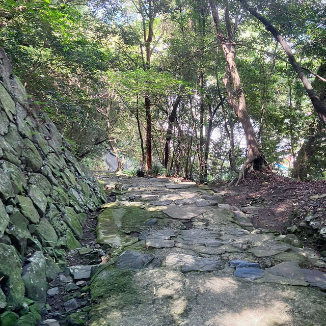 【四国】現存天守のひとつ宇和島城に行ってきた🏯