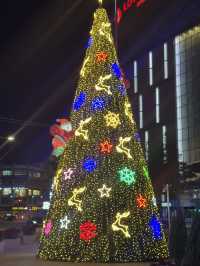 부산을 대표하는 겨울 축제!!🎄🤶🎅🧑‍🎄