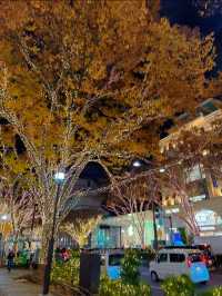 東京旅行はここがおすすめ🤍クリスマスまであと1週間🫣🎄イルミネーション行くならここ行って🫶✨【東京・表参道】