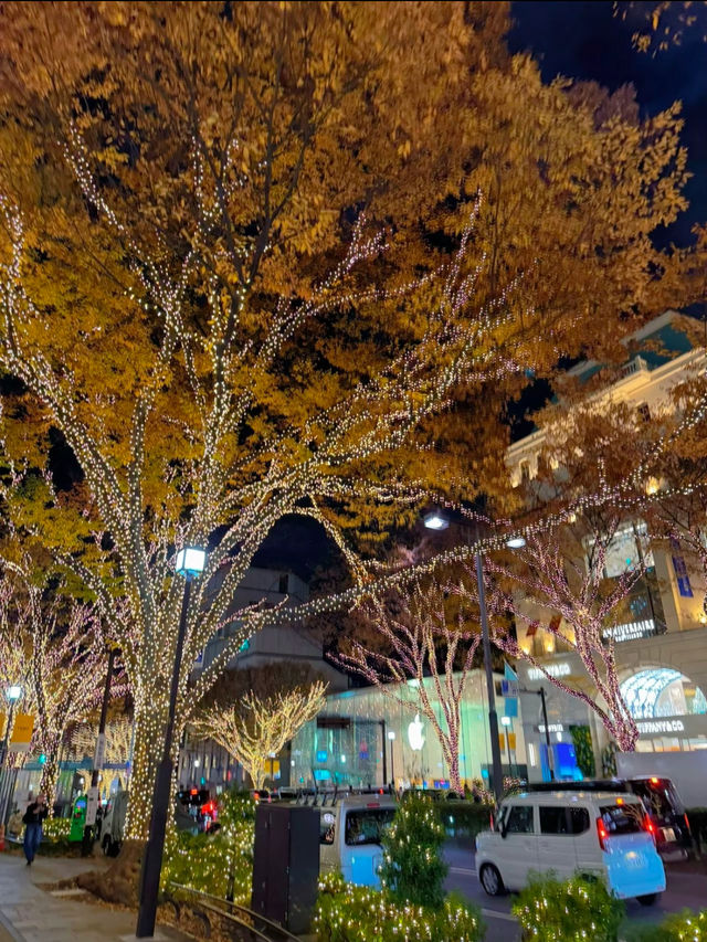 東京旅行はここがおすすめ🤍クリスマスまであと1週間🫣🎄イルミネーション行くならここ行って🫶✨【東京・表参道】