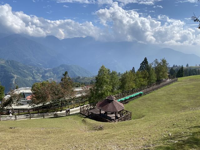 🌟台中之旅：探索審計新村、清景農場與合歡山日出🌟