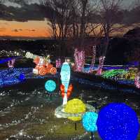 東京ドイツ村・ウィンターイルミネーション🎄