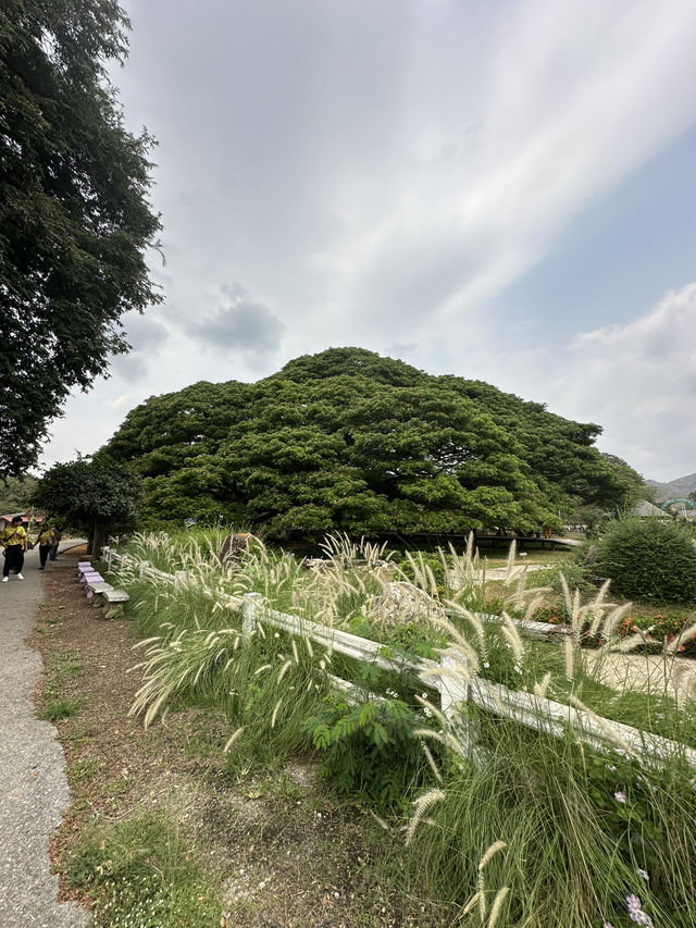 Remember to Wear Sunscreen and Comfy Clothing in Kanchanaburi as You’ll Always be Outdoors!