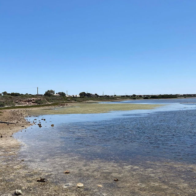 Hidden Gem of the Eyre Peninsula: Denial Bay