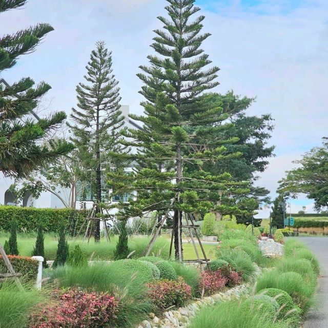 ที่พักเขาใหญ่ สไตล์อังกฤษ บรรยากาศดีรับลมหนาวนี้ 