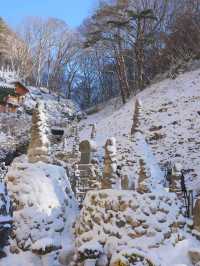 (실시간) 하얀 눈 소복히 쌓인 진안 마이산 탑사❄️🩵