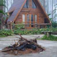 บ้านพักสวนป่าดอยบ่อหลวง