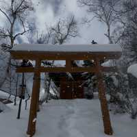 Winter Ski in Shiga Kogen Japan