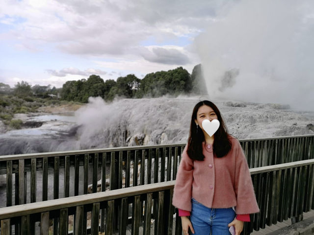 🇳🇿新西蘭間歇泉 蒂普亞地熱保護區