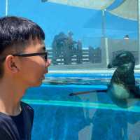 小而美的水族館