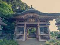 石川🇯🇵藥王院溫泉寺
