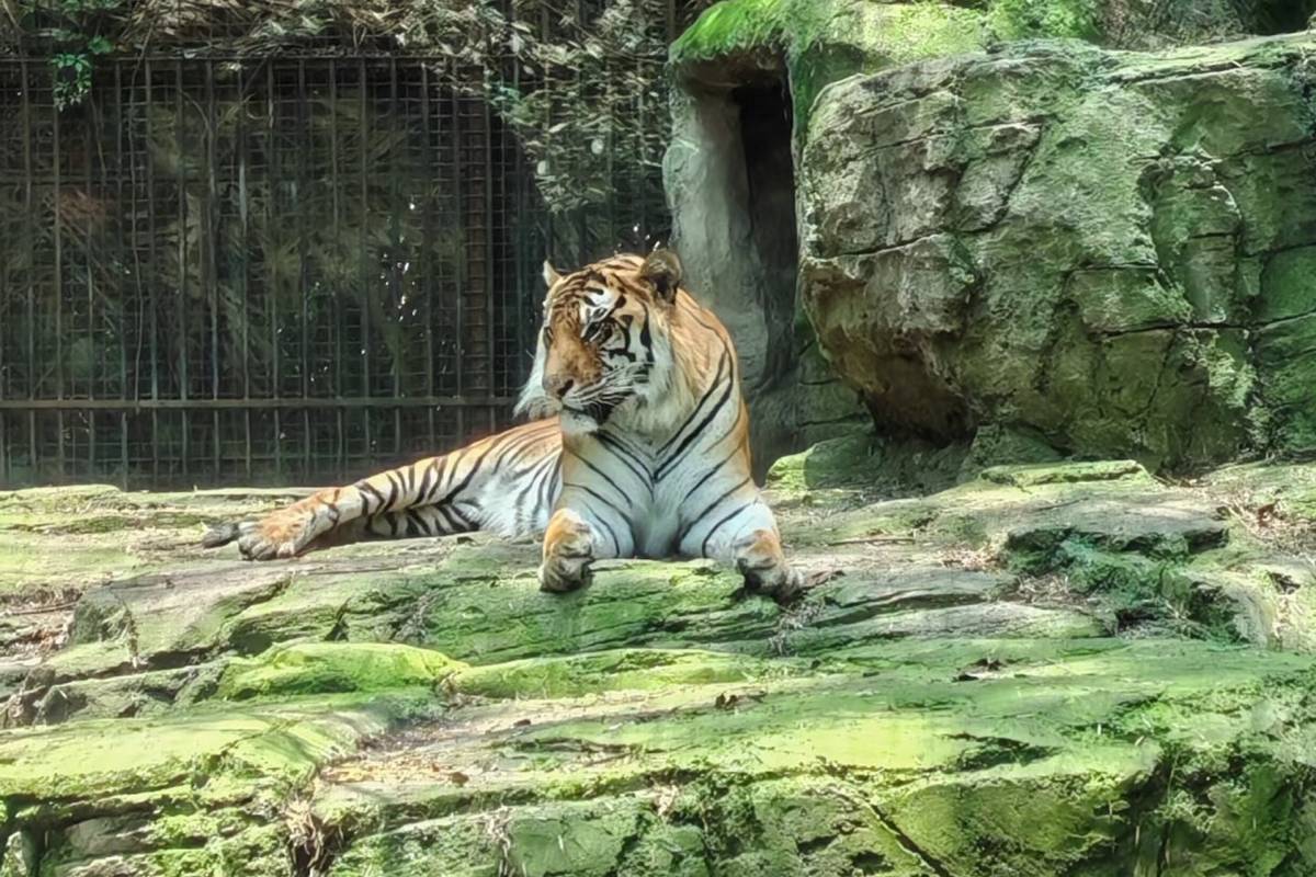 台北動物園