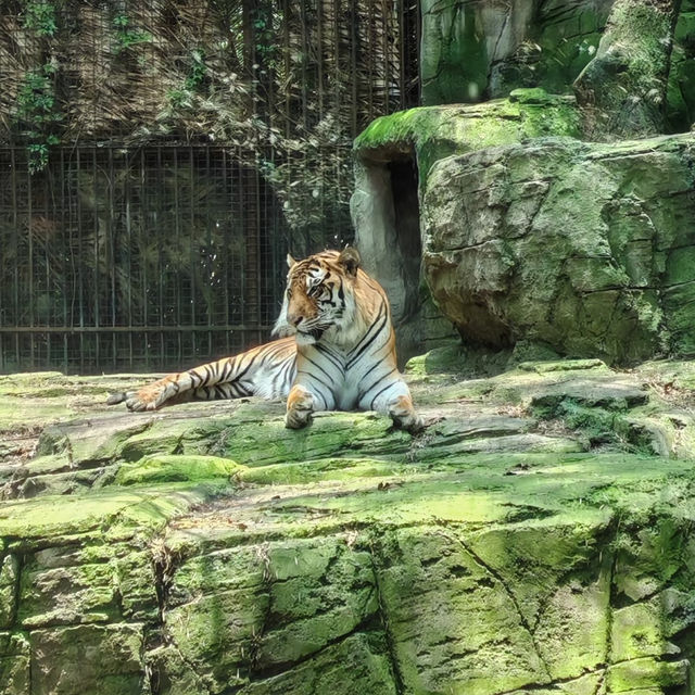 台北市立動物園：動物王國之旅 🦁🌿