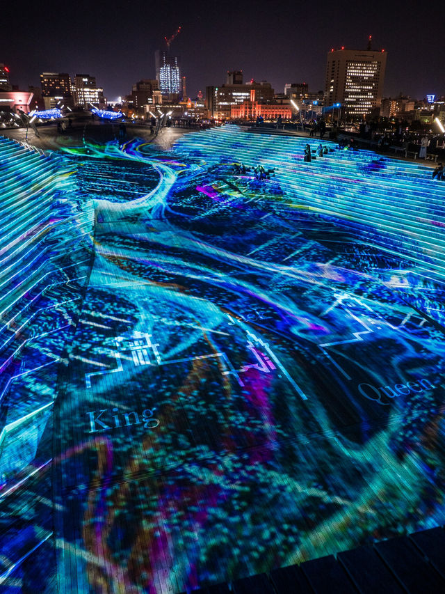 【家族連れにおすすめ！✨】ヨルノヨ2024のイルミネーションが美しすぎる！🐳