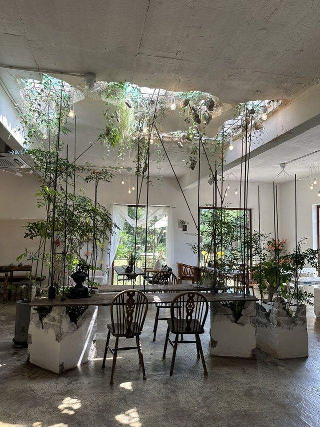 통영의 숨은 보석, 카페 쿠쿠오나 🍃✨